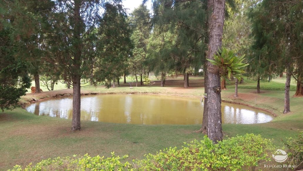 Fazenda, 21 hectares - Foto 4