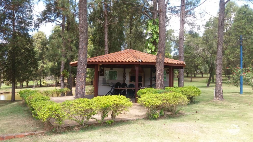 Fazenda, 21 hectares - Foto 14