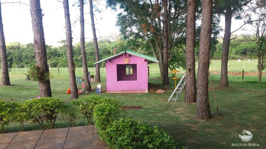 Fazenda, 21 hectares - Foto 15