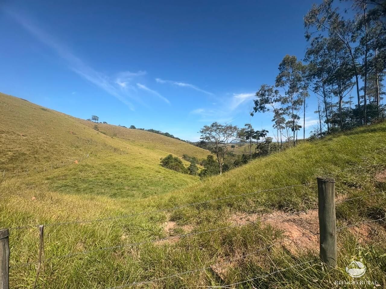 Fazenda, 72 hectares - Foto 6