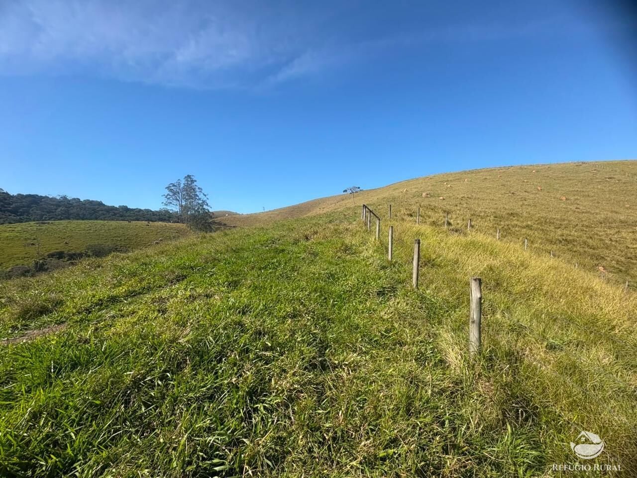 Fazenda, 72 hectares - Foto 11
