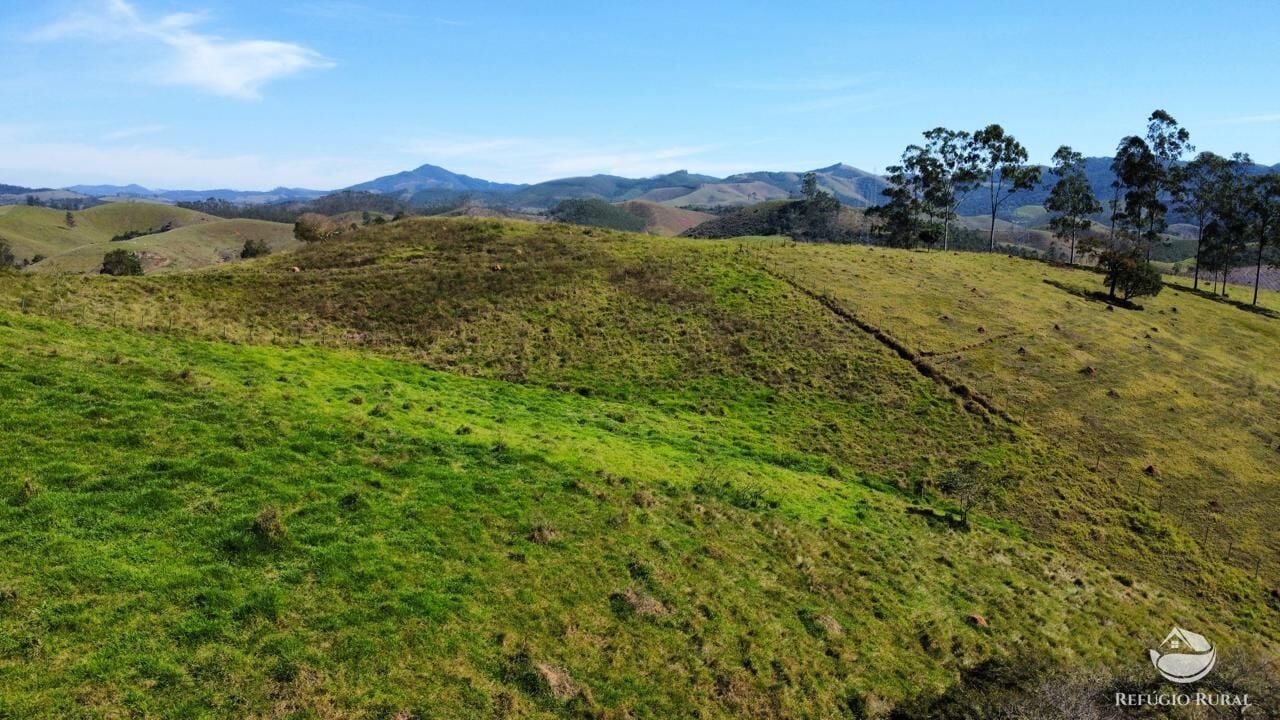 Fazenda, 72 hectares - Foto 23