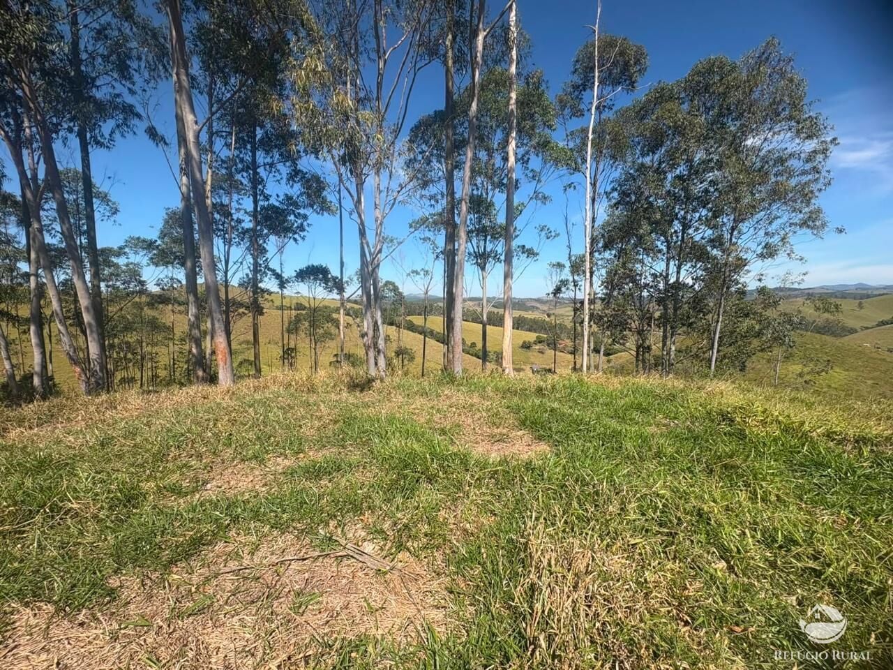 Fazenda, 72 hectares - Foto 15