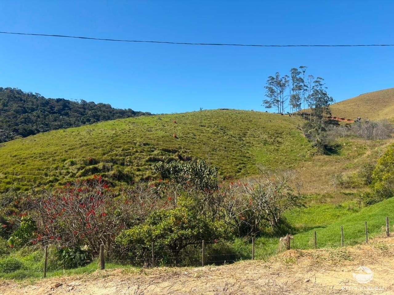 Fazenda, 72 hectares - Foto 4