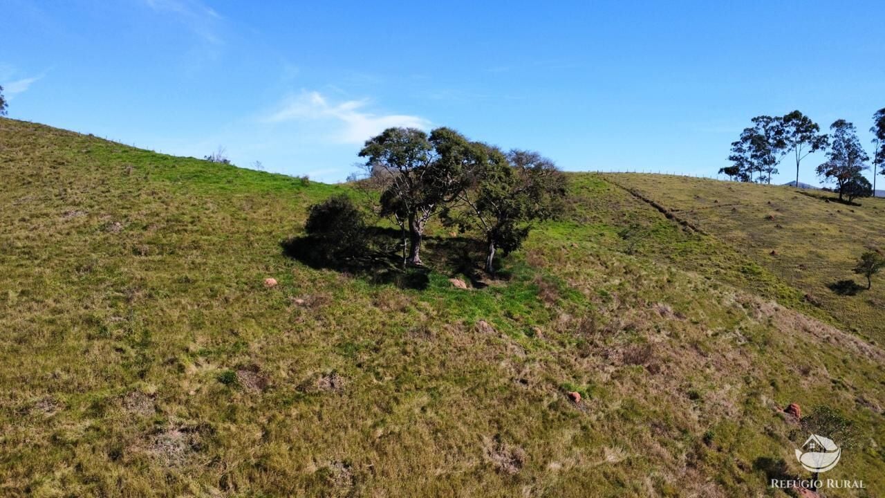 Fazenda, 72 hectares - Foto 18