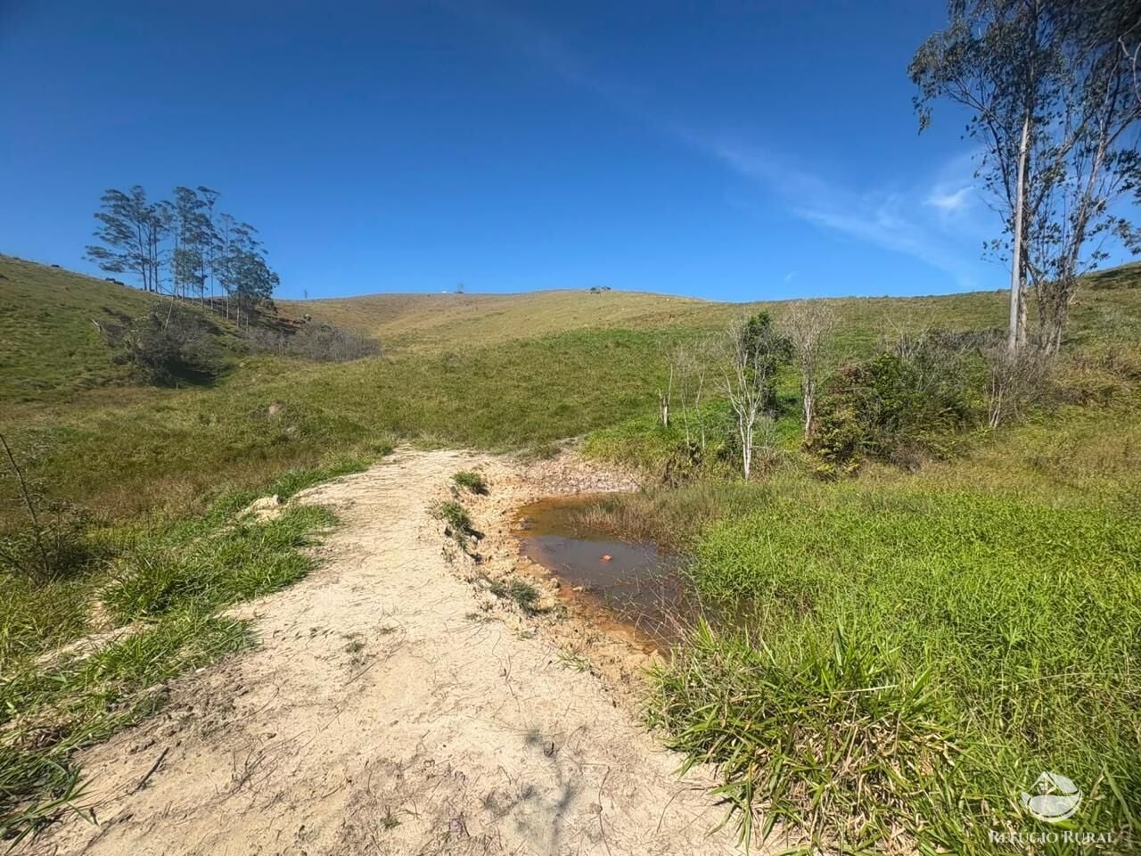 Fazenda, 72 hectares - Foto 8