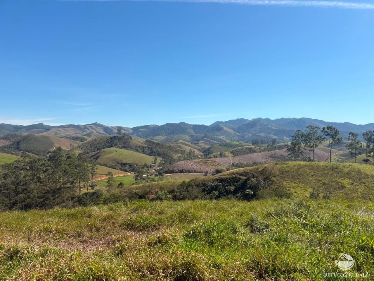 Fazenda, 72 hectares - Foto 13