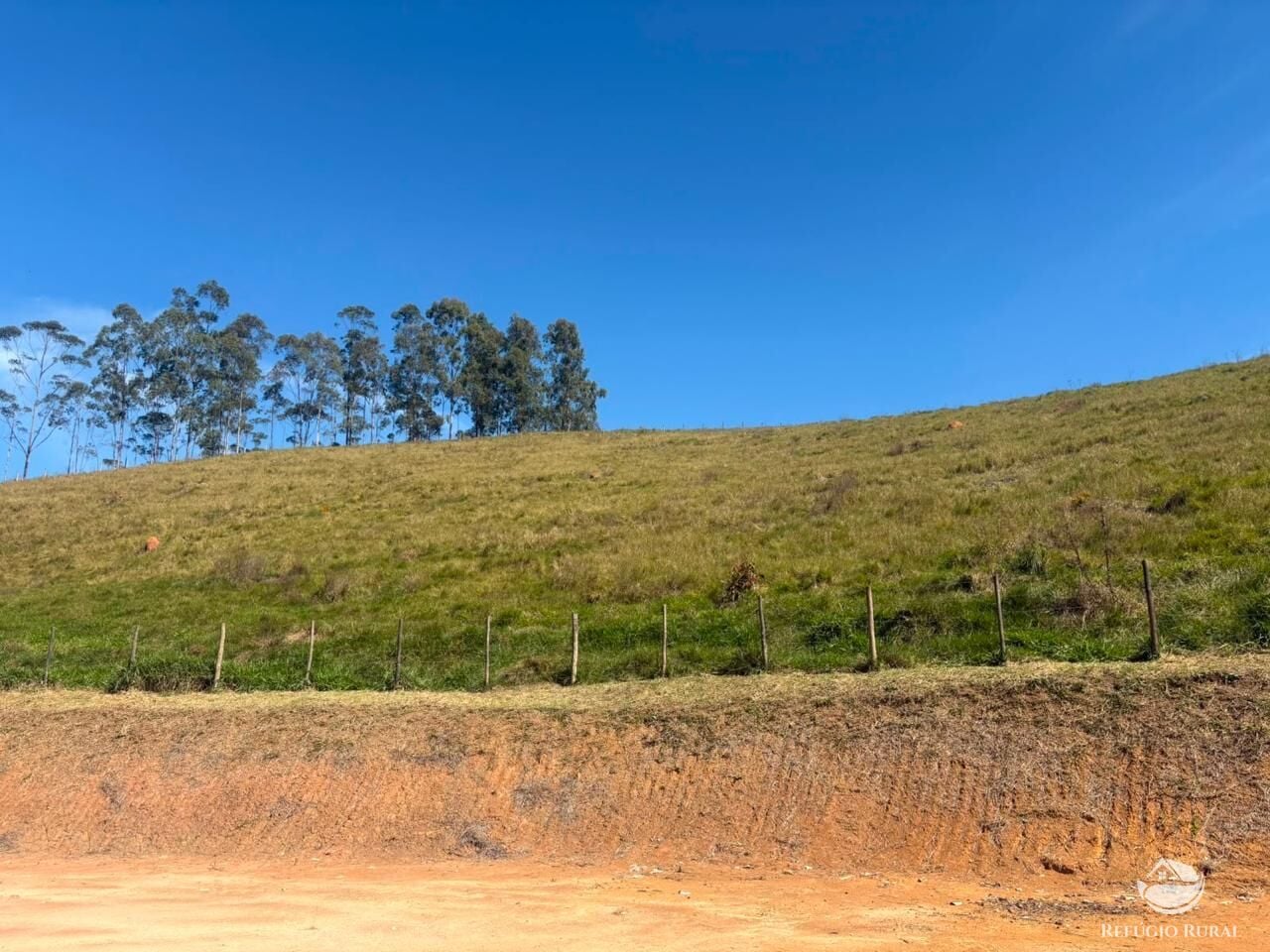 Fazenda, 72 hectares - Foto 5