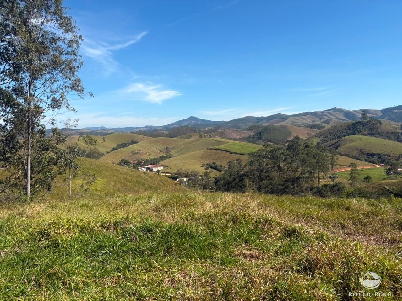 Fazenda, 72 hectares - Foto 9