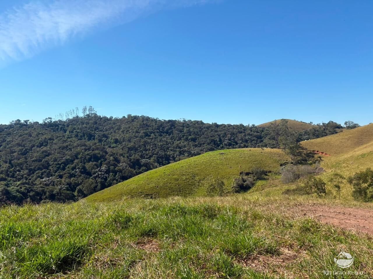 Fazenda, 72 hectares - Foto 16