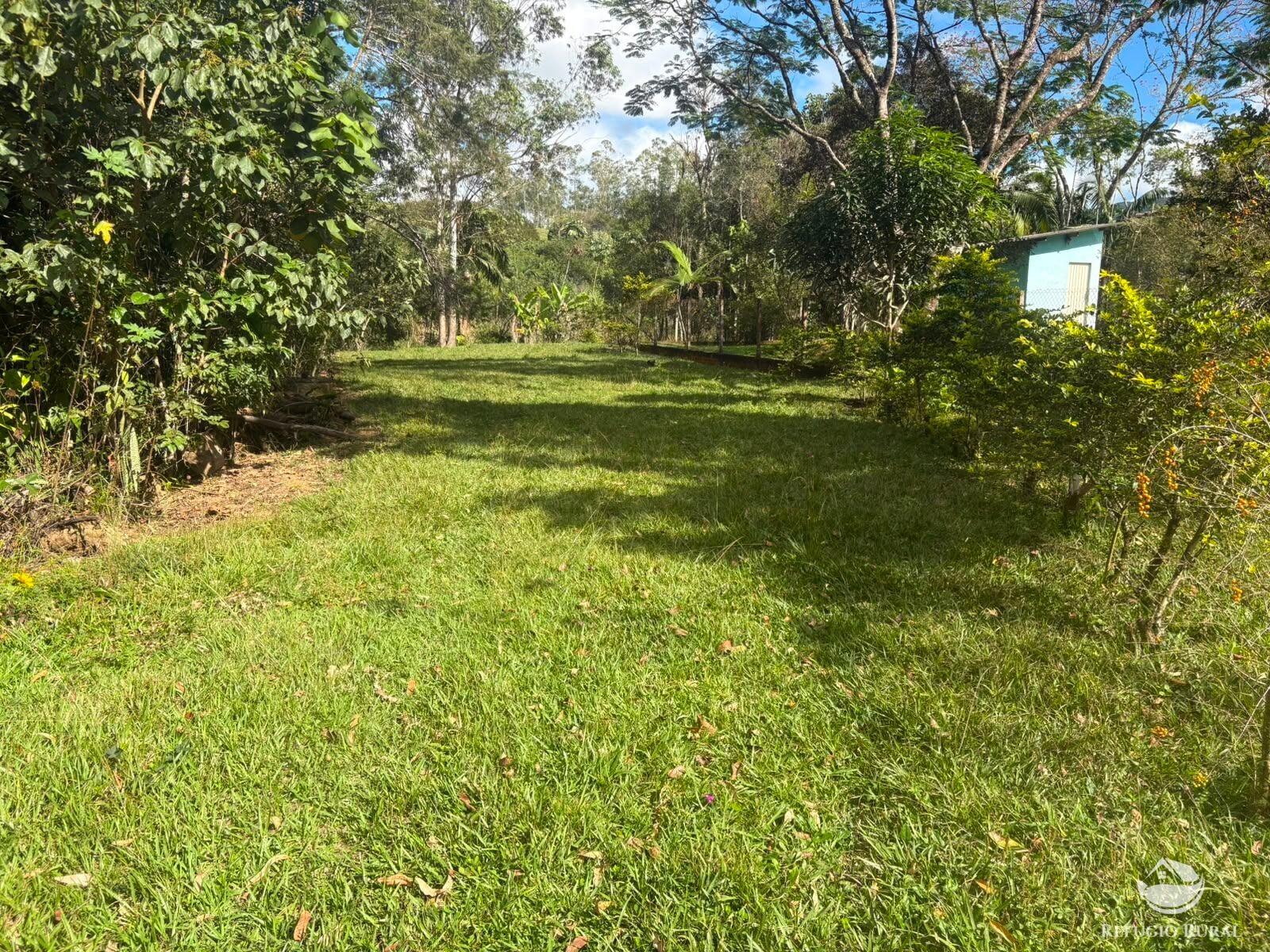 Chácara, 11 hectares - Foto 22