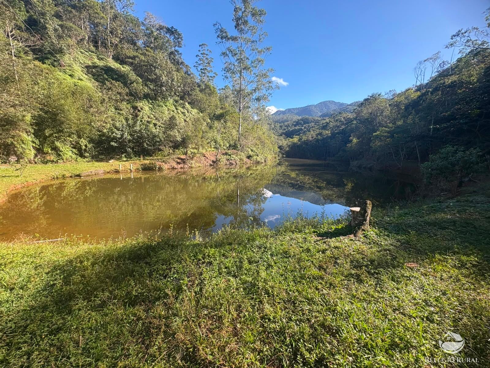 Chácara, 11 hectares - Foto 37