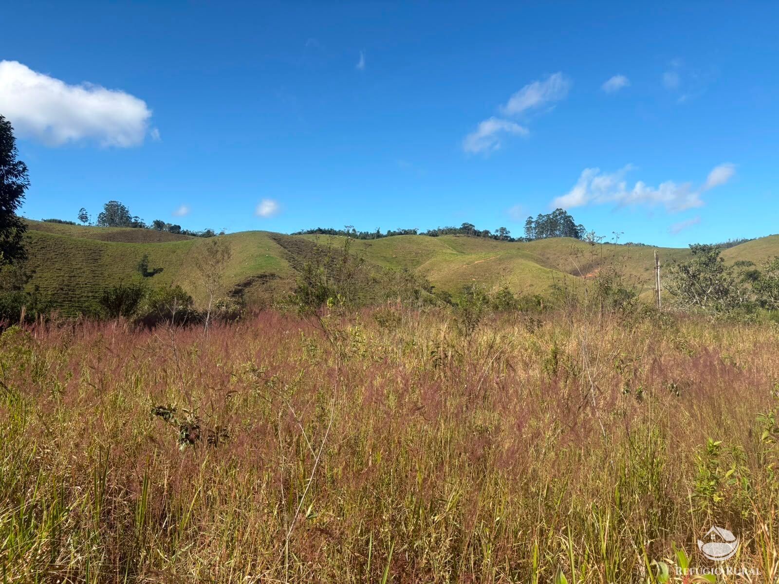 Chácara, 11 hectares - Foto 19
