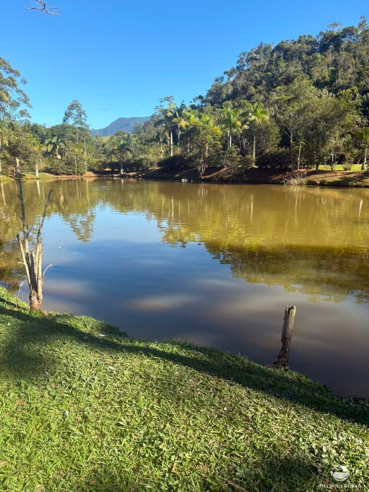 Chácara, 11 hectares - Foto 17