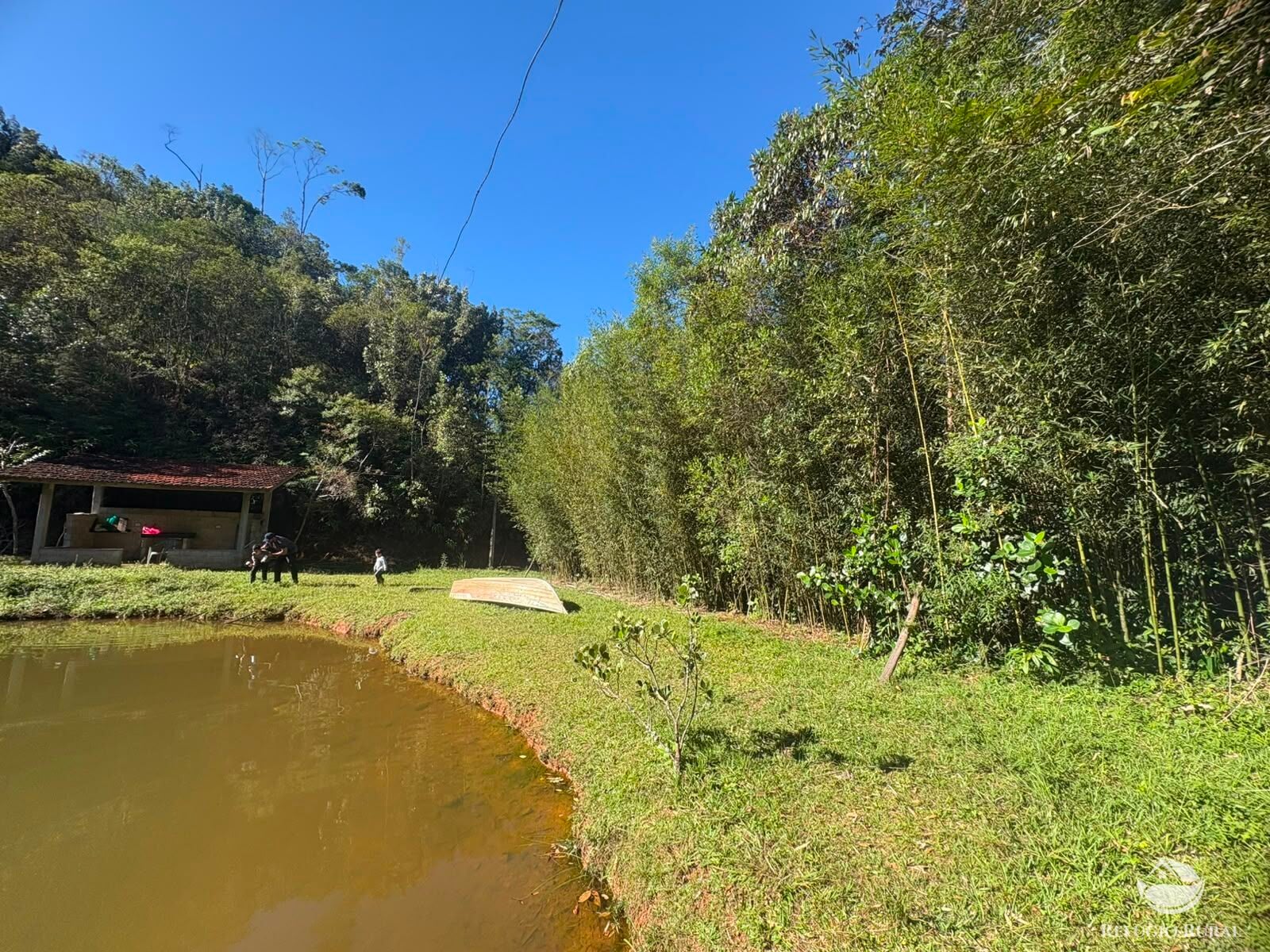 Chácara, 11 hectares - Foto 18