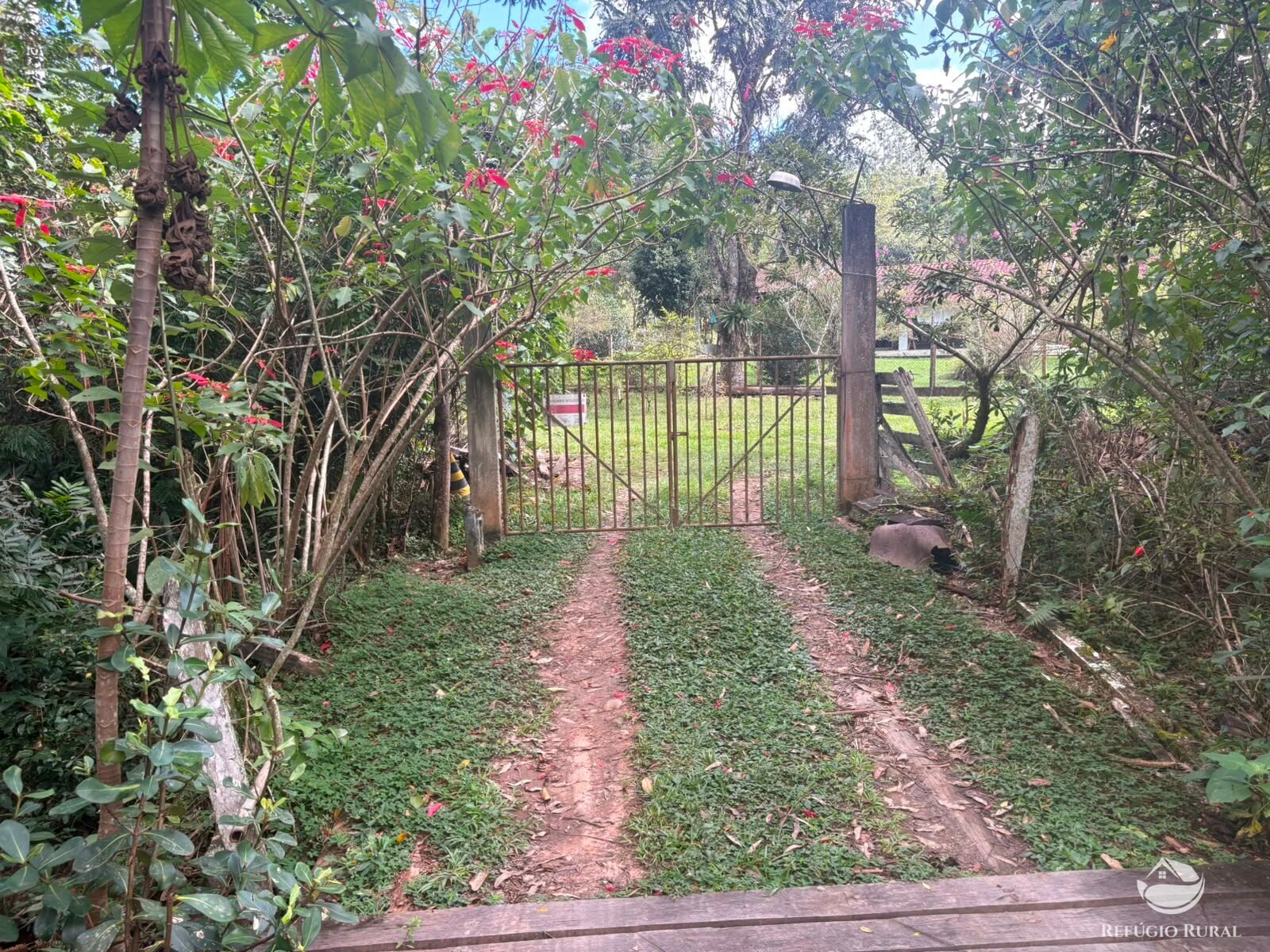 Chácara, 11 hectares - Foto 30