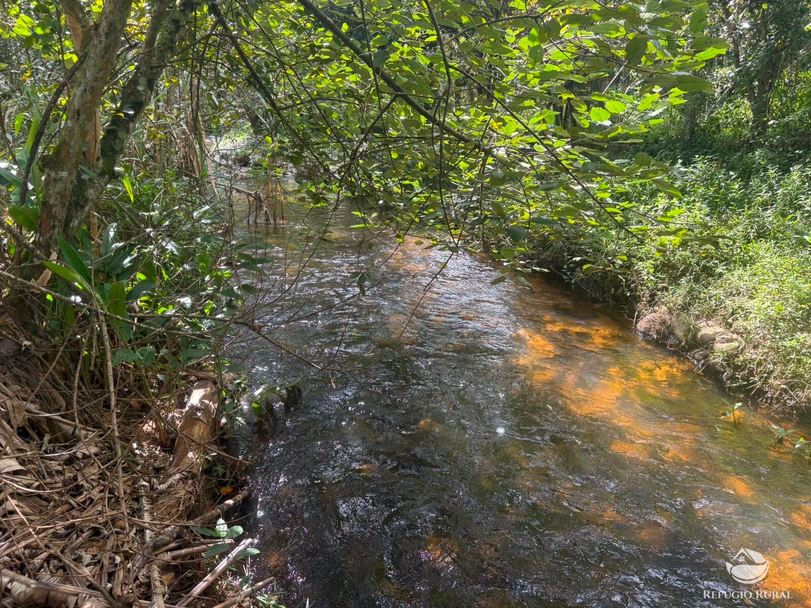 Chácara, 11 hectares - Foto 43
