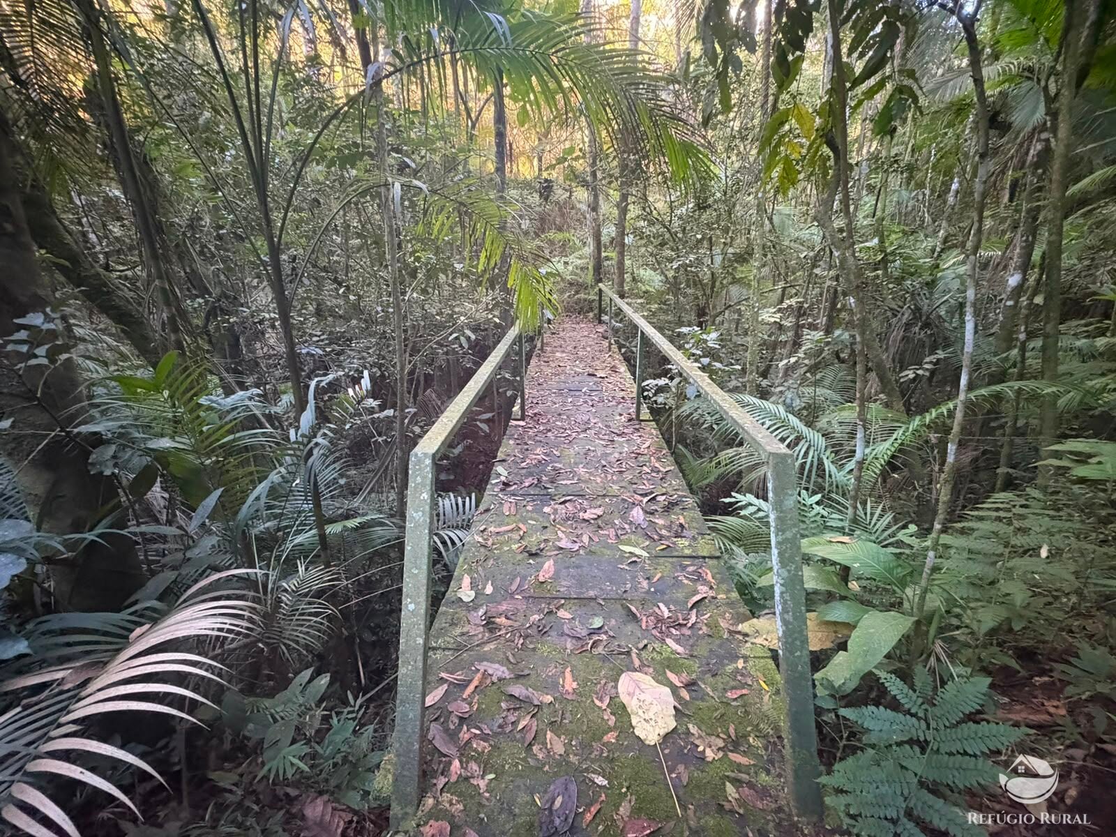 Chácara, 11 hectares - Foto 41