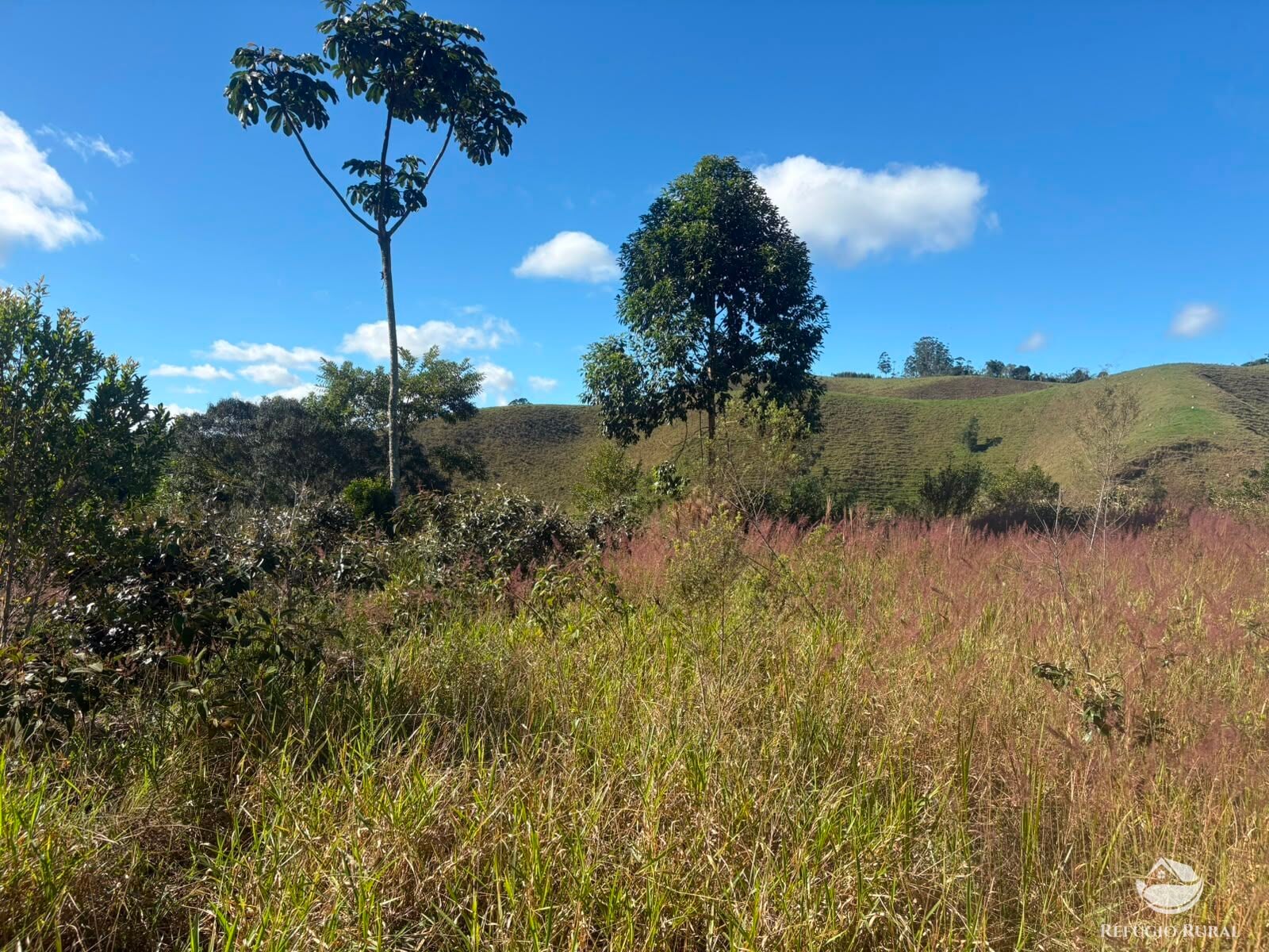 Chácara, 11 hectares - Foto 44