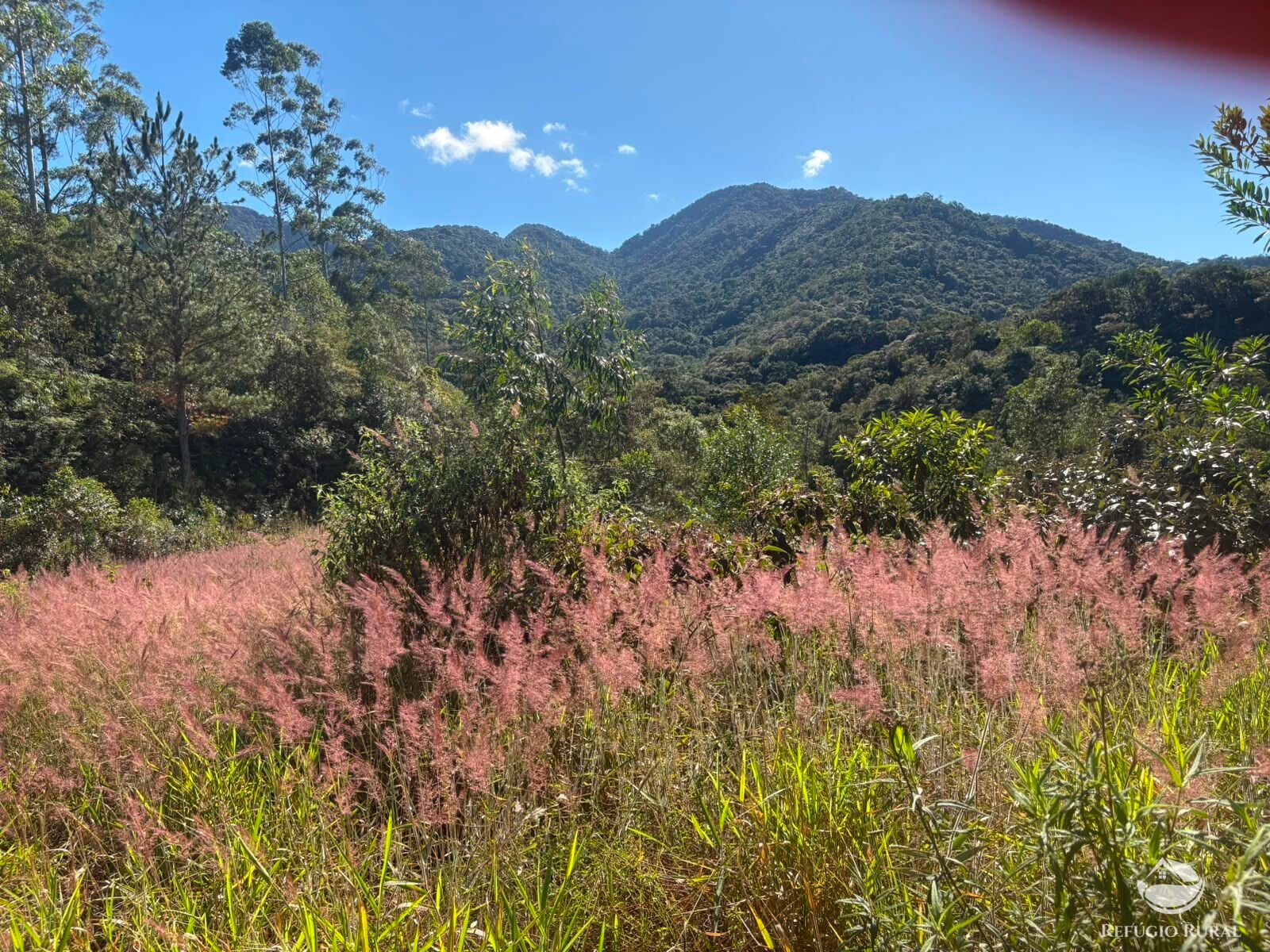 Chácara, 11 hectares - Foto 42