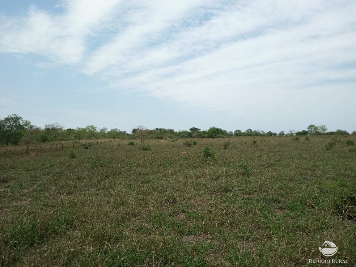 Fazenda, 97 hectares - Foto 8
