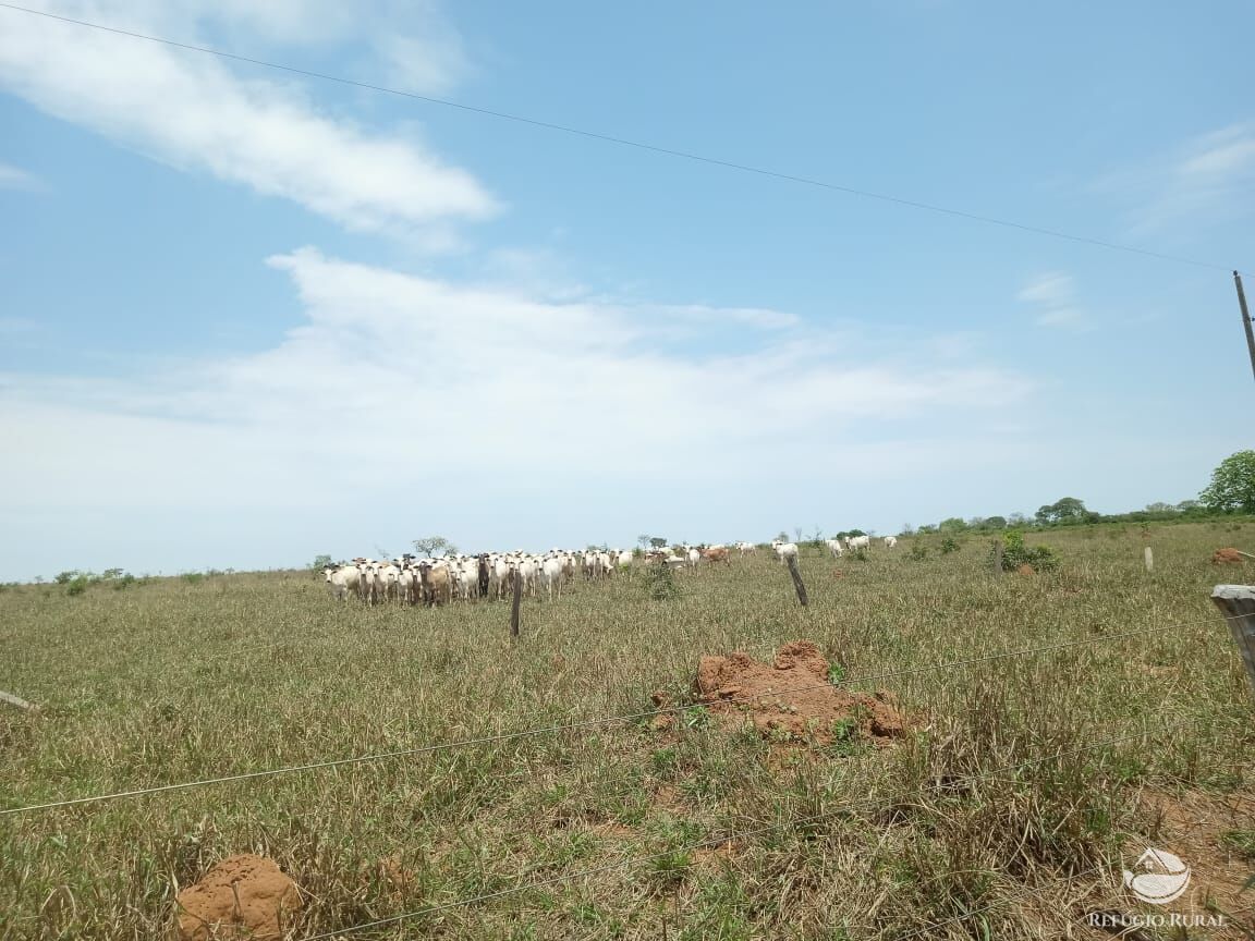 Fazenda, 97 hectares - Foto 11