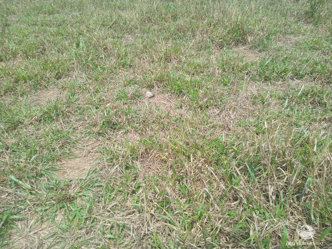 Fazenda, 97 hectares - Foto 12