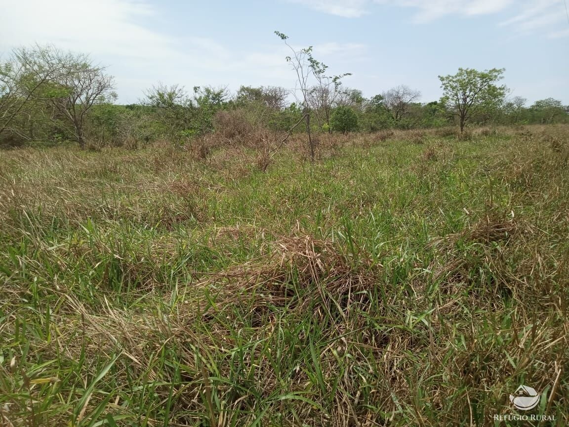 Fazenda, 97 hectares - Foto 6