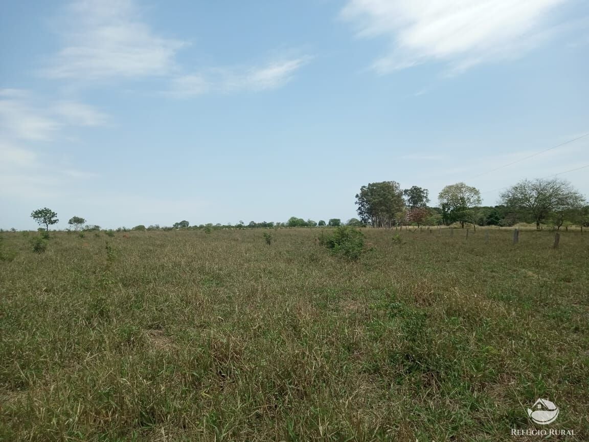Fazenda, 97 hectares - Foto 9