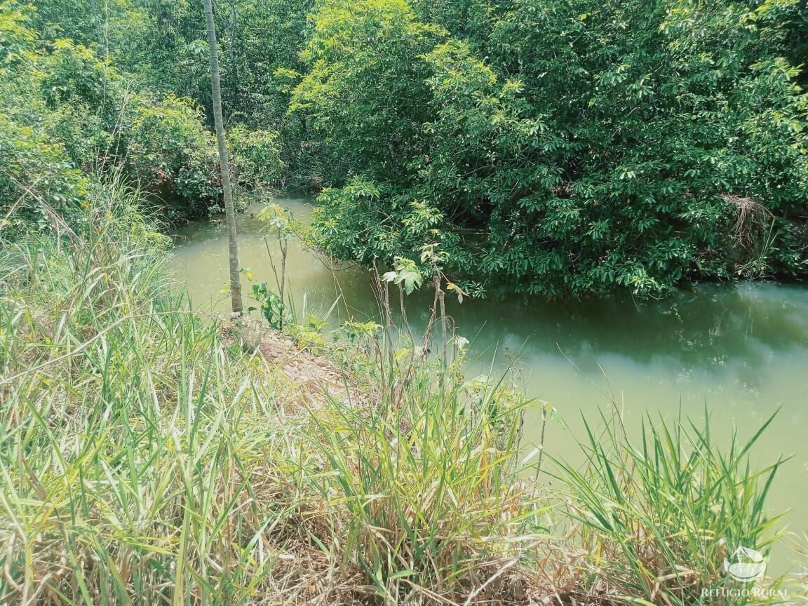 Fazenda, 97 hectares - Foto 13