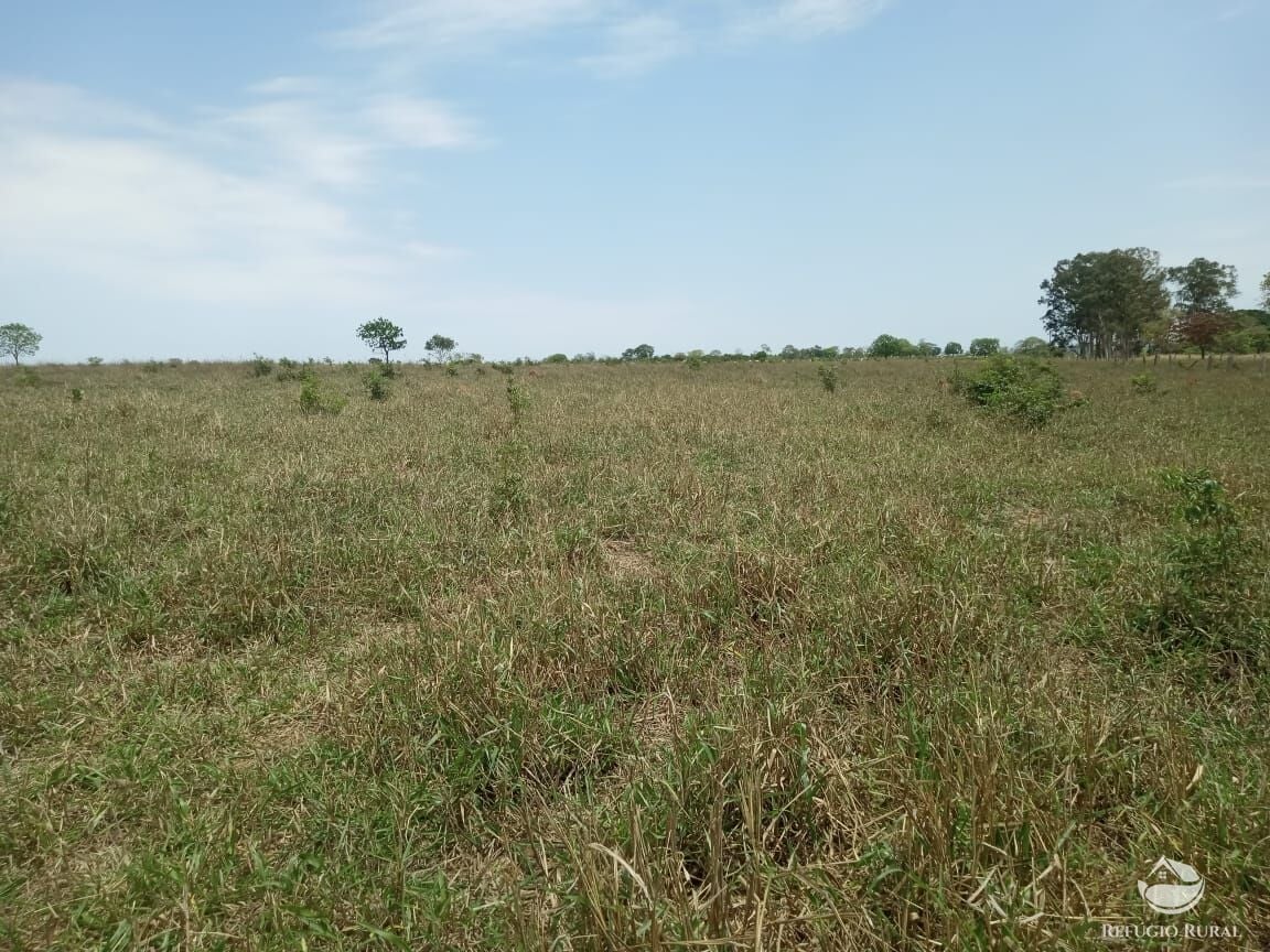 Fazenda, 97 hectares - Foto 7