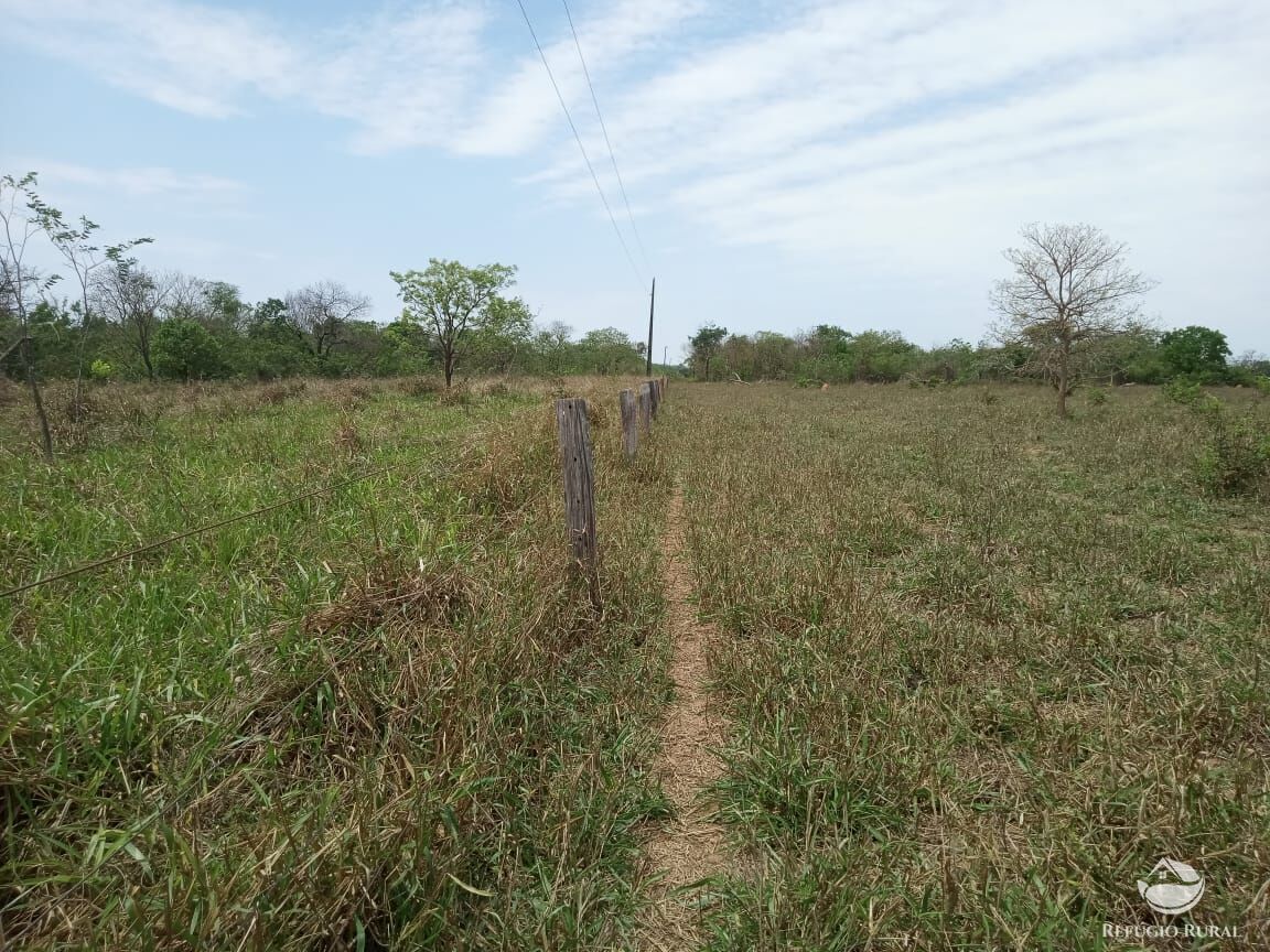 Fazenda, 97 hectares - Foto 10