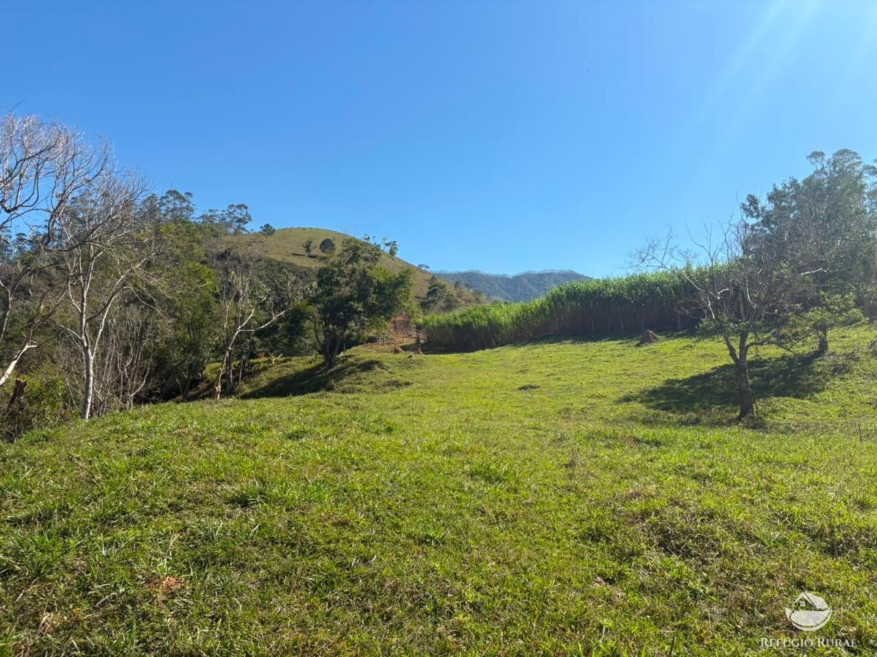 Terreno, 24 hectares - Foto 29