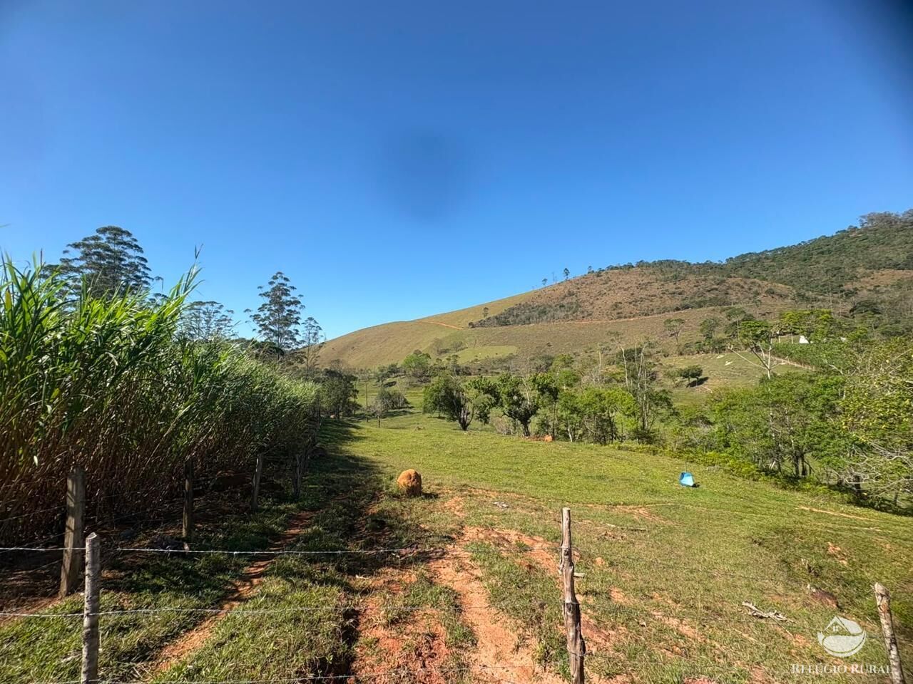 Terreno, 24 hectares - Foto 15