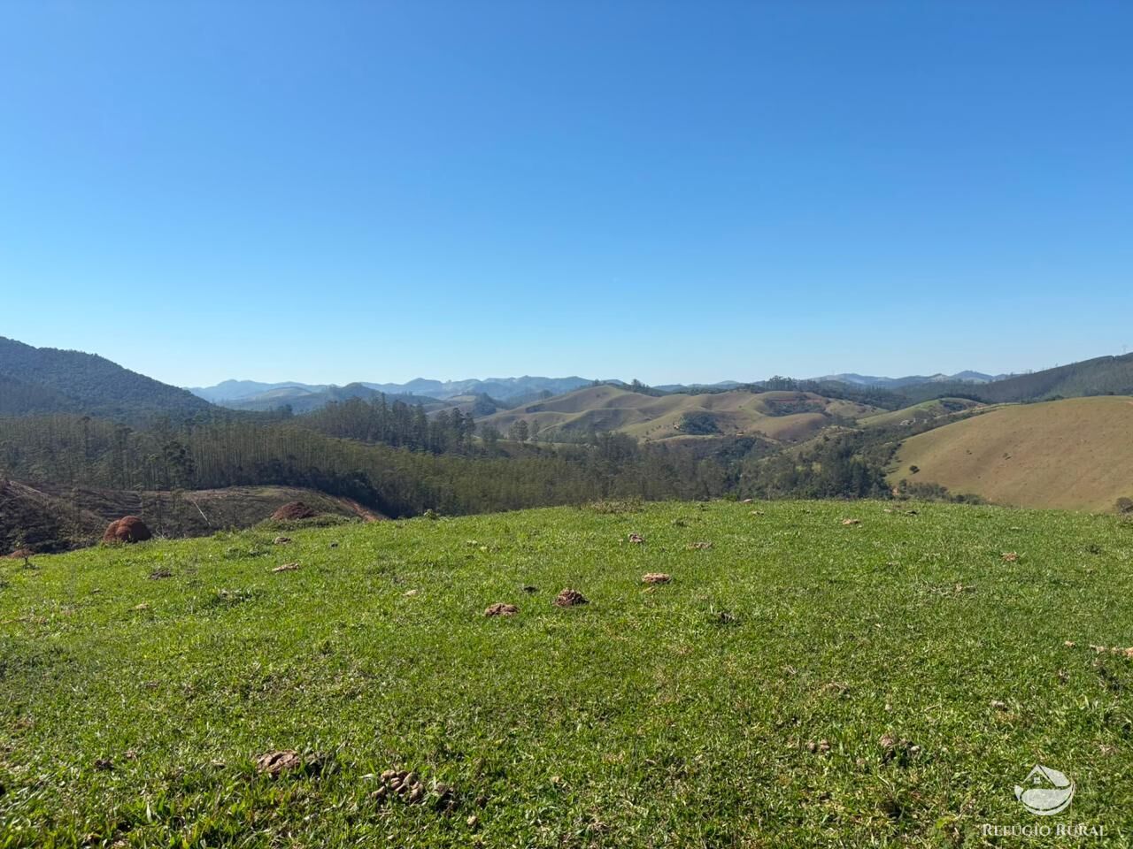 Terreno, 24 hectares - Foto 14