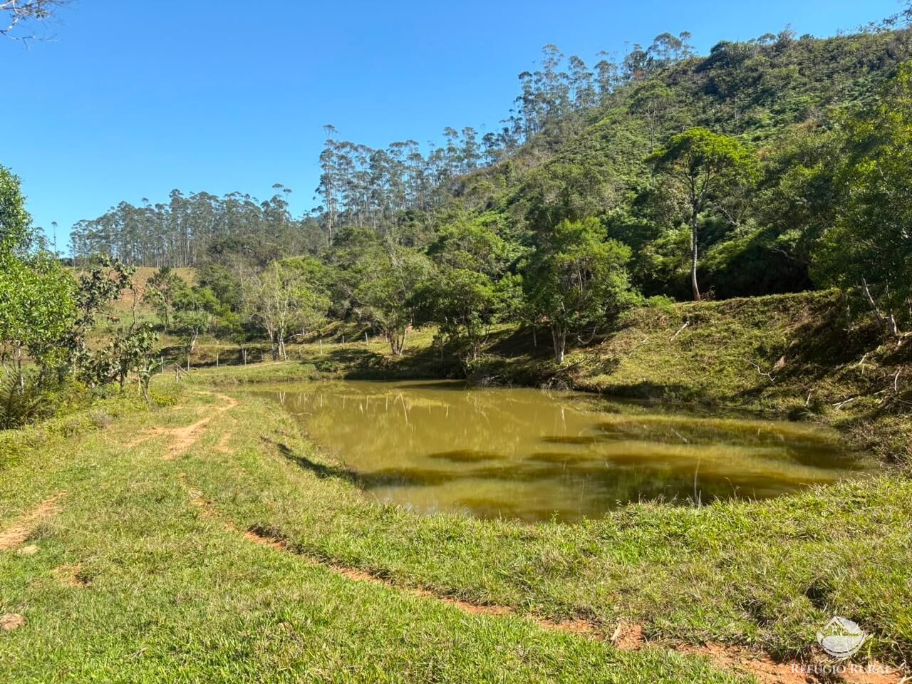 Terreno, 24 hectares - Foto 39
