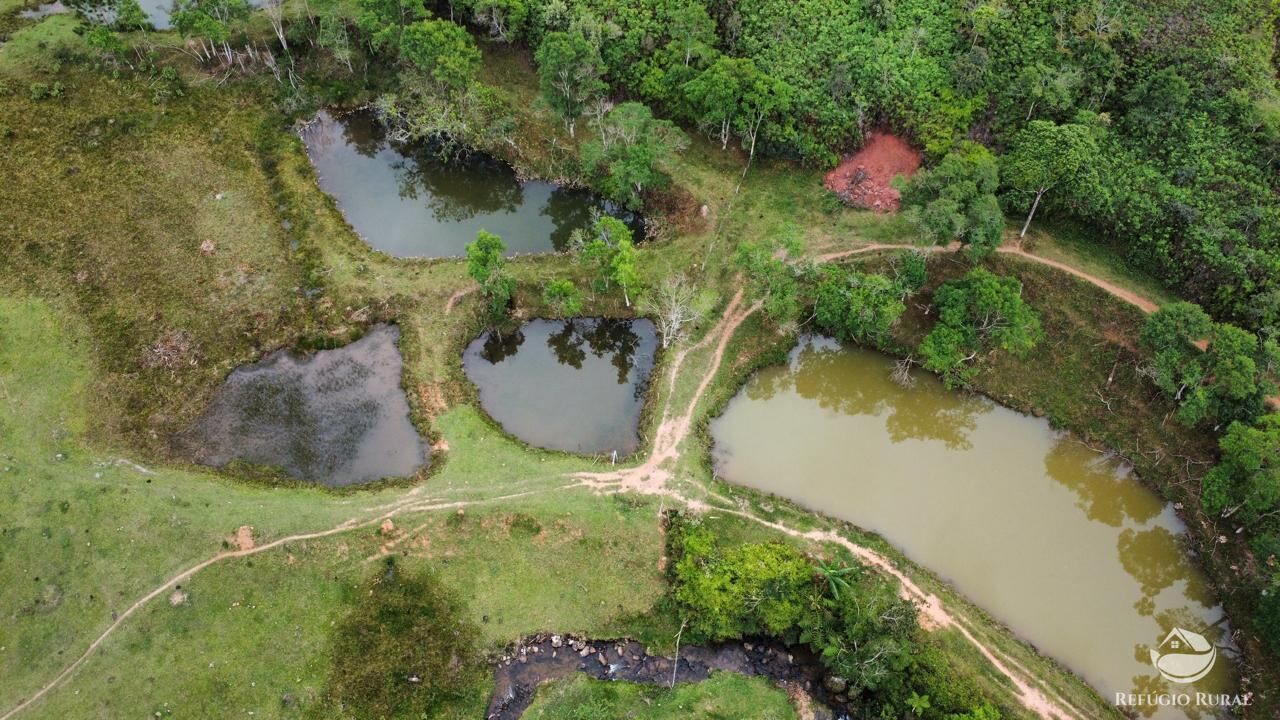 Terreno, 24 hectares - Foto 8