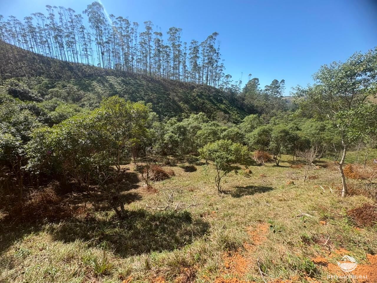 Terreno, 24 hectares - Foto 33