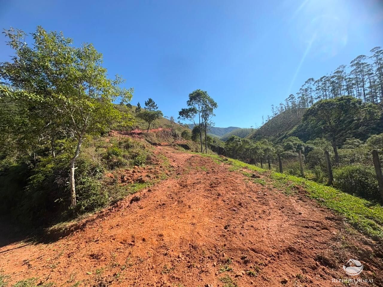 Terreno, 24 hectares - Foto 18