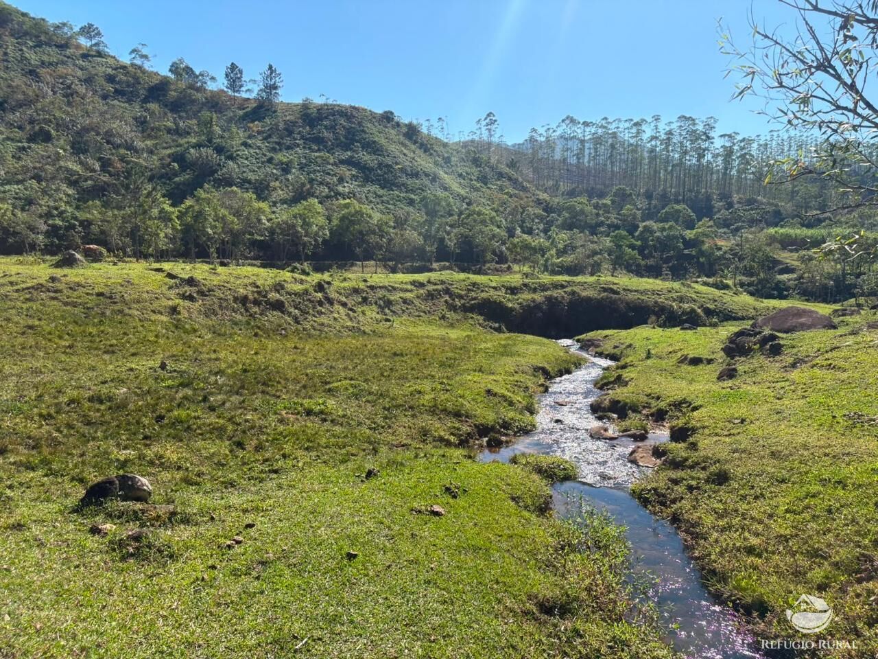 Terreno, 24 hectares - Foto 16
