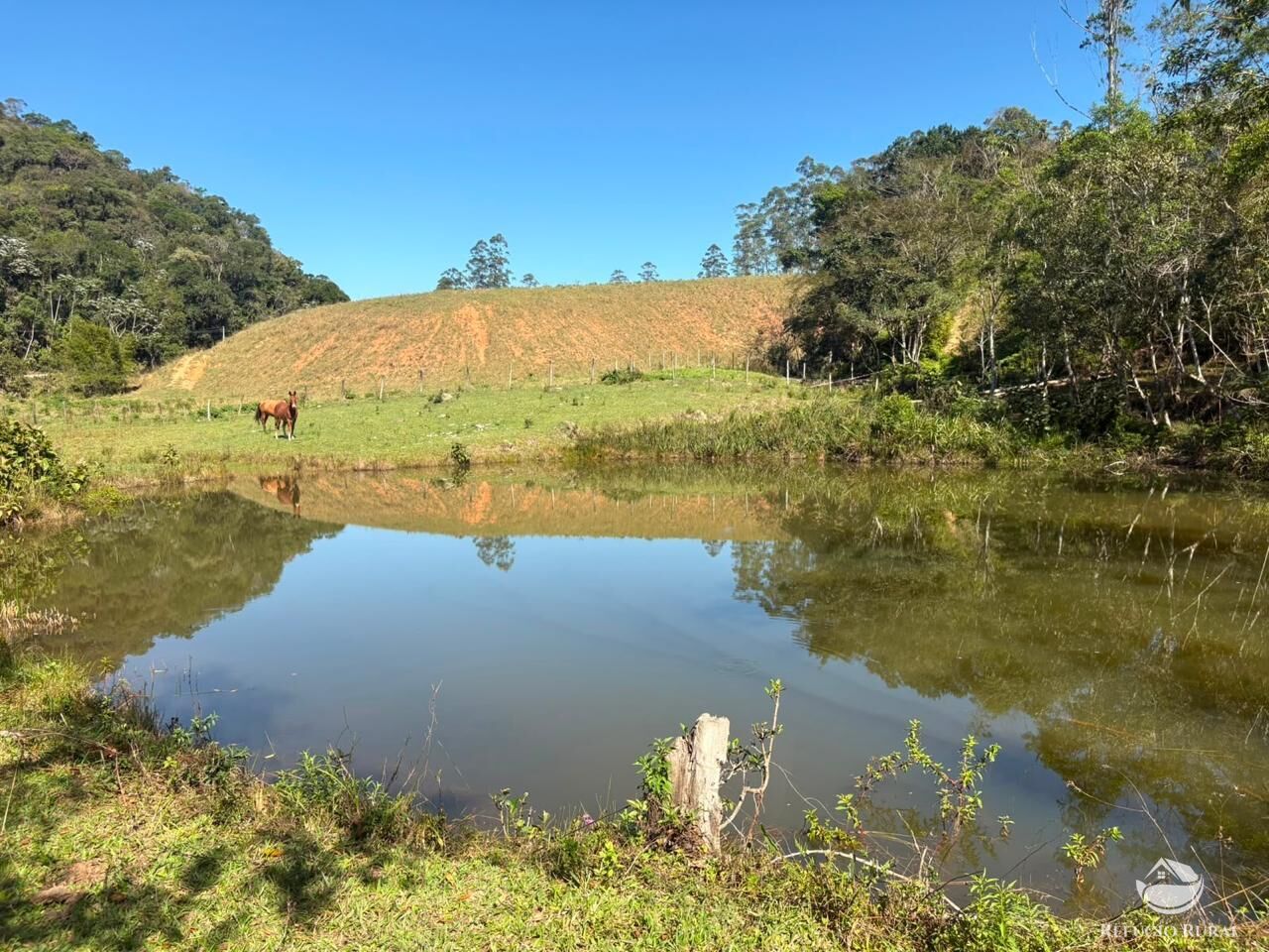 Terreno, 24 hectares - Foto 36