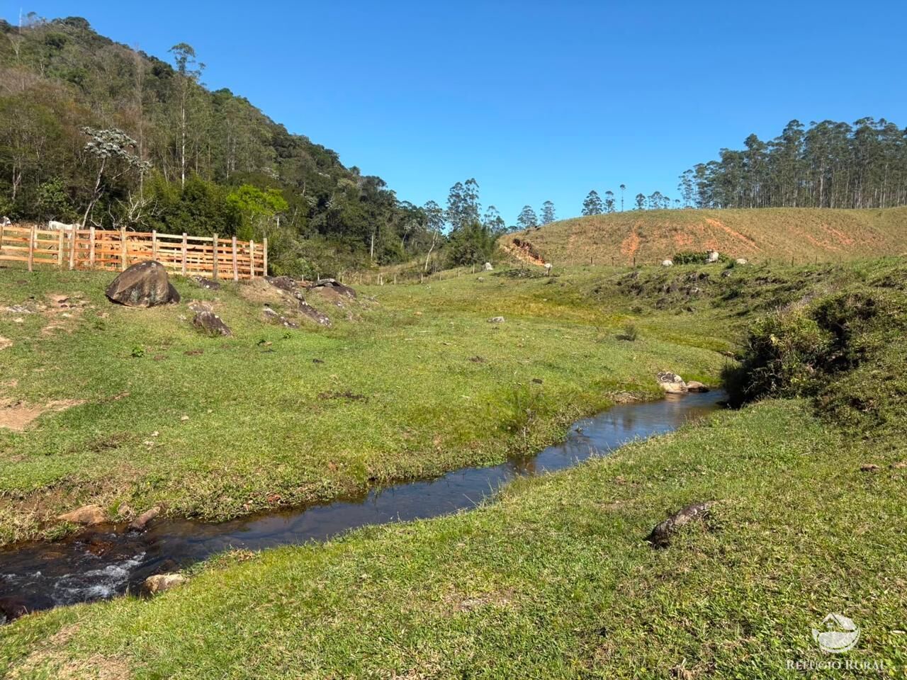 Terreno, 24 hectares - Foto 23