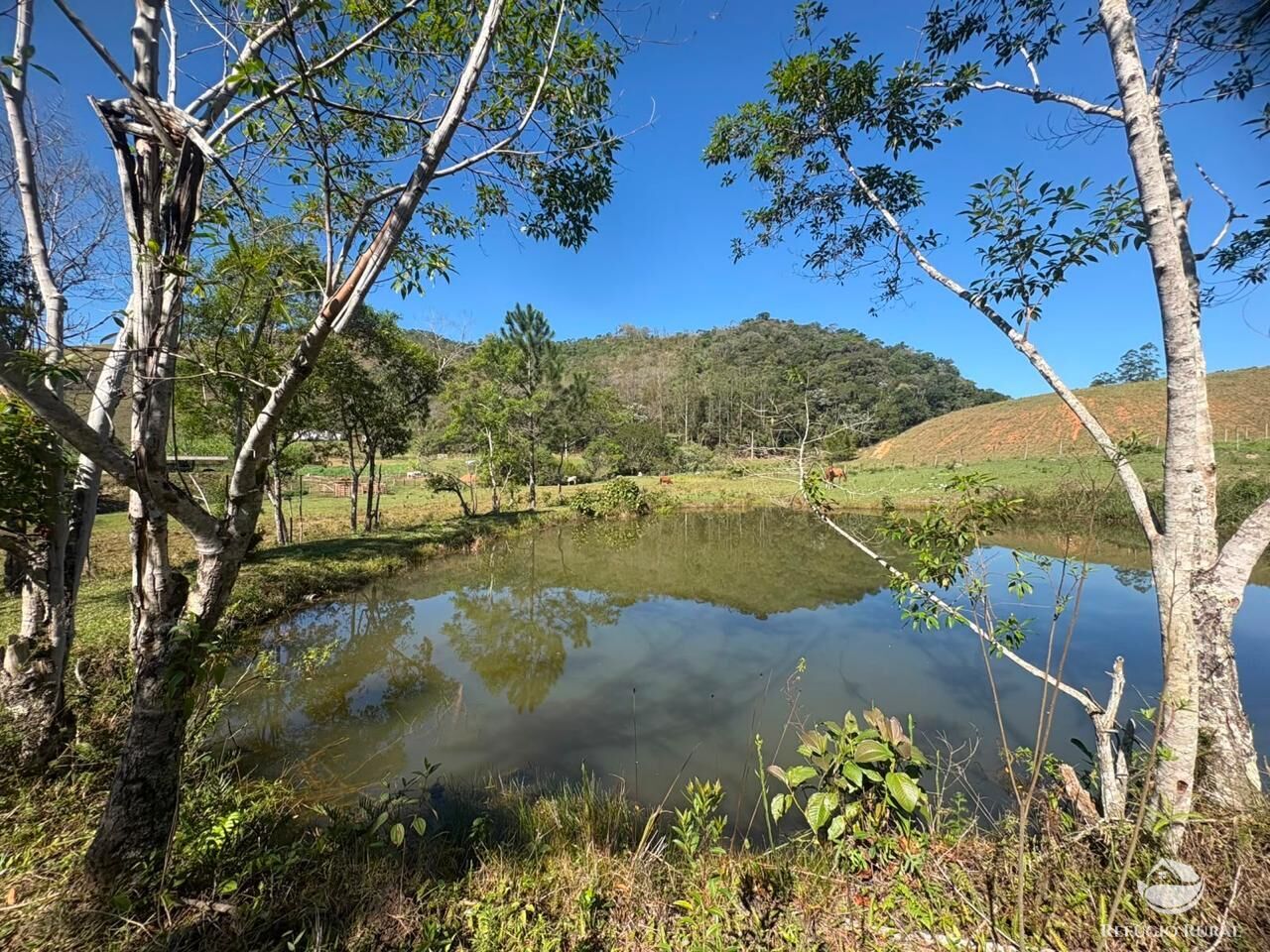 Terreno, 24 hectares - Foto 34