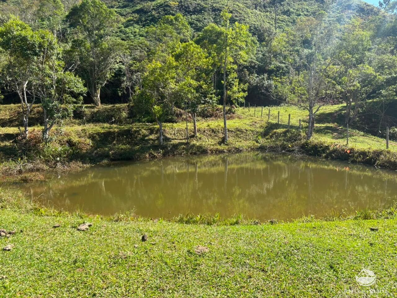 Terreno, 24 hectares - Foto 21