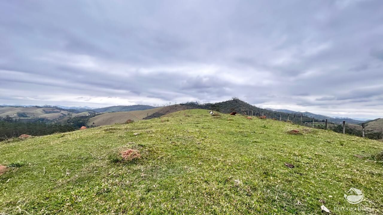 Terreno, 24 hectares - Foto 19