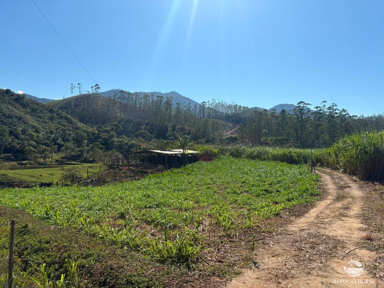 Terreno, 24 hectares - Foto 35