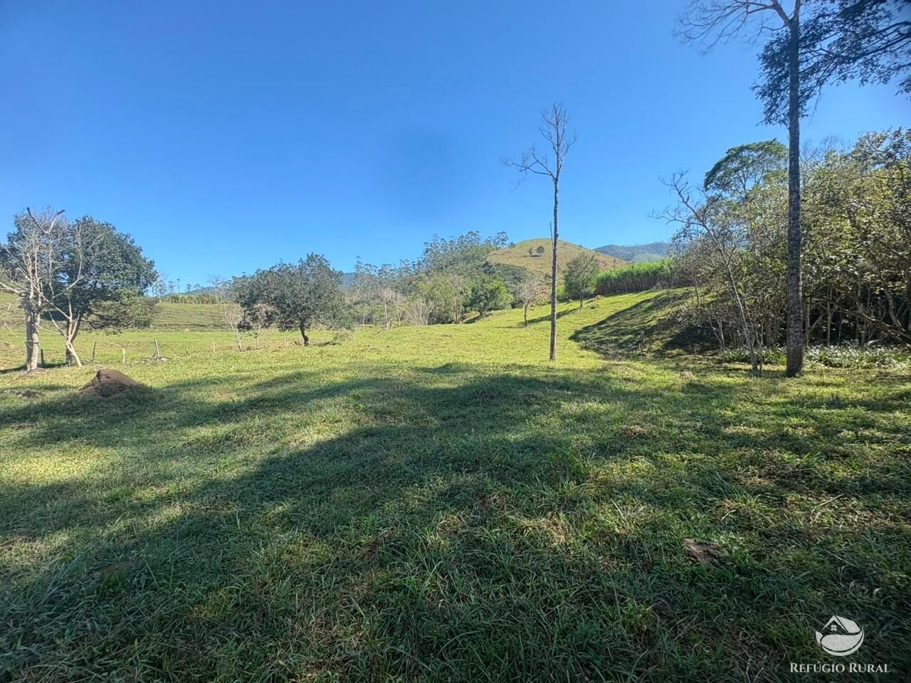 Terreno, 24 hectares - Foto 41