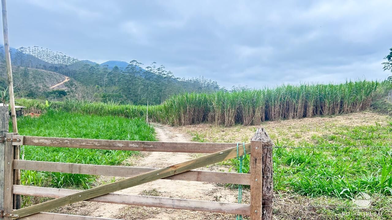 Terreno, 24 hectares - Foto 13