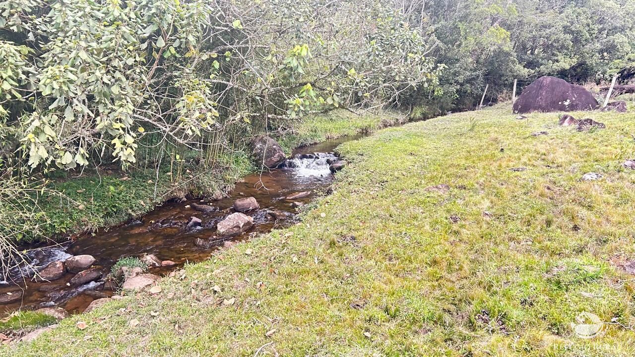 Terreno, 24 hectares - Foto 12