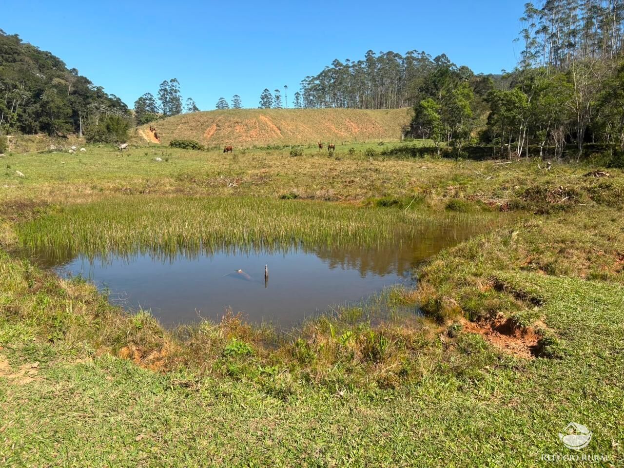 Terreno, 24 hectares - Foto 43